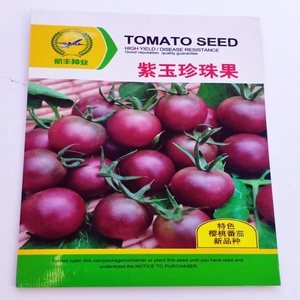 紫玉珍珠果番茄种子从台湾引进营养丰富含抗癌物质口感沙甜适口好