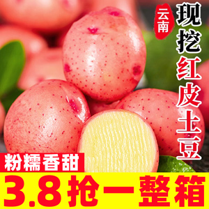 云南红皮黄心土豆10斤新鲜小土豆农家特产应季蔬菜洋芋自种马铃薯
