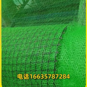 三维植被网NSS5加筋EM3 厂家直销现货喷播植草护边坡神器土工网垫