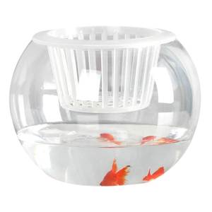 水培器皿植物玻璃透明花瓶水养植物鱼缸一体养鱼容器绿萝花盆室内