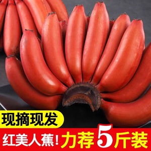 【果乐多】红美人香蕉5斤应当季水果新鲜红皮芭蕉米蕉整箱小香焦