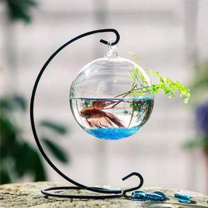 吊挂悬挂玻璃透明多肉植物鱼缸花瓶小玻璃鱼缸创意斗鱼缸鱼缸