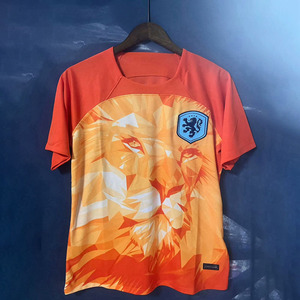 24-25荷兰国家队橙色球衣冷门足球服球迷版单件上衣短袖训练队服