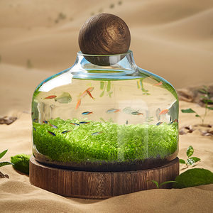 创意缸水培植物鱼缸水草种子籽懒人微景观生态瓶桌面生态鱼缸玻璃