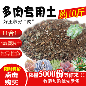 多肉土专用营养土通用型纯颗粒土家用透气铺面石种肉肉花土小苗土