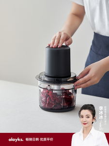 日本进口象印适配绞肉机家用电动小型多功能全自动搅拌机碎肉打馅