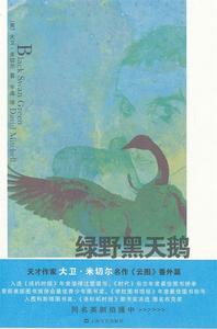 正版图书绿野黑天鹅大卫米切尔宇逸上海文艺出版社