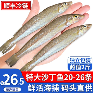 沙丁鱼大号青岛本地海捕新鲜黄沙丁鱼冷冻水产沙尖鱼烧烤食材商用