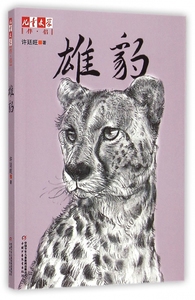 正版图书 雄豹/儿童文学伴侣中国少年儿童新闻出版总社，中国少年