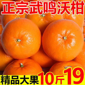 武鸣沃柑10斤新鲜水果当季纯甜无渣柑橘子丑八怪柑子耙耙皇帝蜜柑
