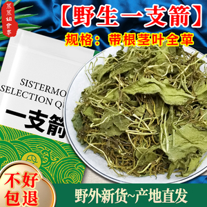 正品一支箭中药材整株带根全草四川中草药青藤蛇咬子瓶尔小草野生