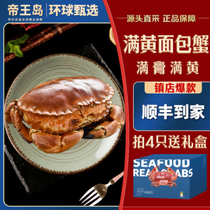 新面包蟹特惠装新鲜熟冻海鲜水产特大超大螃蟹黄金蟹珍宝蟹帝王海