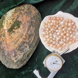 珍珠蚌活蚌自己开淡水纯天然鲜活带壳珍珠贝壳河蚌开珍珠diy材料