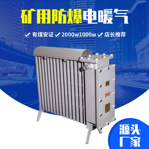 矿用防爆电暖器 RB-2000矿用电热电暖气 煤矿井下用防爆取暖器