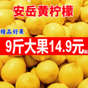 四川安岳黄柠檬新鲜水果皮薄一级奶茶店专用香水青柠檬商用9斤