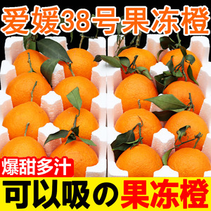 爱媛38号果冻橙10斤整箱包邮新鲜当季水果应季手剥甜橙子四川香脐