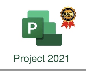 Microsoft Project 2021 Professional Lifetime License