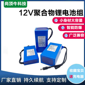 12V聚合物锂电池组大容量防蜂服疝气灯小风扇头灯LED灯带音响12伏
