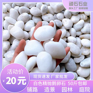 北京鹅卵石白色鹅卵石装饰造景白色鹅卵石铺地花园石子白色抛光阳