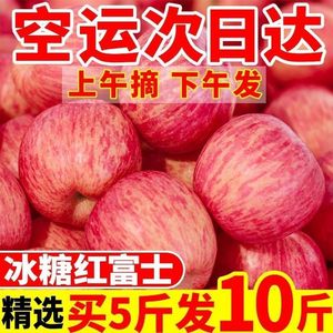 烟台红富士苹果新鲜水果栖霞冰糖心丑苹果整箱10斤礼盒装顺丰包邮