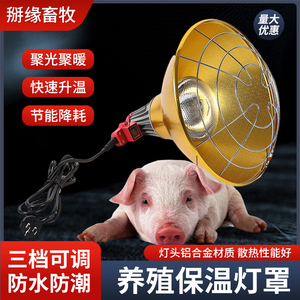 养殖保温灯罩猪场仔猪专用保暖灯兽用宠物小鸡小猪育雏取暖灯猪用