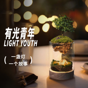 丘辰苔藓微景观生态瓶办公室桌面创意绿植室内种植小盆栽摆件礼物