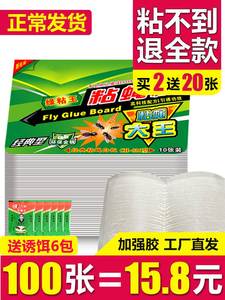苍蝇贴强力粘蝇纸家用100片粘蝇板灭苍蝇神器黏沾蚊蝇子胶一扫光