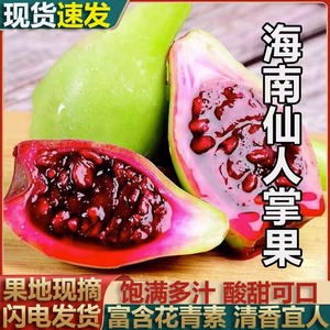 海南新鲜野生仙人掌果实5斤仙桃 当季热带稀奇没吃过的水果送蜂蜜