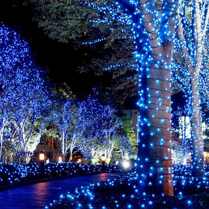LED小彩灯闪灯串灯满天星户外挂树上彩灯春节过新年氛围装饰灯