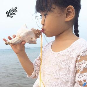 螺号喇叭 大号海螺玩具吹口哨儿童创意礼物小摆件天然贝壳工艺品