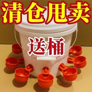 家禽自动饮水器鸽子养鸡专用自动饮水器鸡饮水器配件家用养殖户