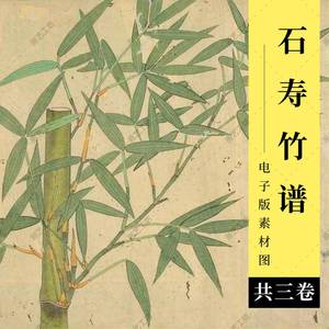 石寿竹谱电子版素材图日本古画工笔竹子手绘彩绘临摹图