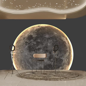 3d网红月球表面壁纸酒吧纹理浮雕布工业风拍照直播间背景定制墙纸