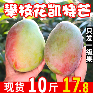 【只发一级果】四川攀枝花凯特芒果10斤整箱当季新鲜水果特大忙果