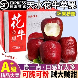【顺丰包邮】正宗甘肃天水花牛苹果面粉脆沙甜新鲜水果9斤装整箱