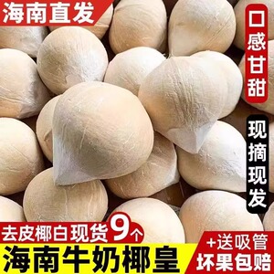 海南牛奶椰皇9个装新鲜椰青当季煲鸡汤老椰子肉椰宝椰汁孕妇整箱3