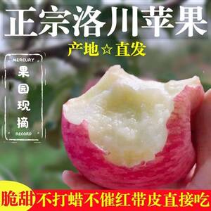 23年正宗陕西洛川苹果红富士新鲜水果脆甜冰糖心一级大果5斤包邮