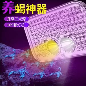 蝎子灯大功率型照蝎子专用灯紫光灯强光头灯黄白光养蝎子充电USB