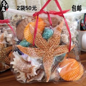 天然大贝壳大海星珊瑚石工艺品装饰品道具鱼缸造景贝壳摆th10