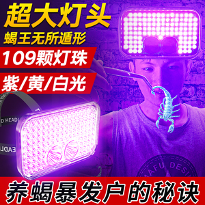 专用灯新款超强手电筒紫光灯强光头戴可充电照明鉴定专用灯