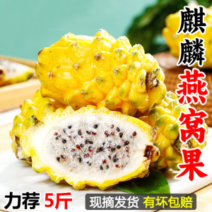 海南麒麟燕窝果5斤应当季新鲜黄皮白心火龙果热带特产罕见的水果