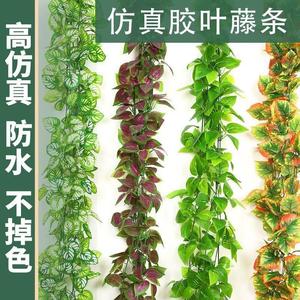 新疆西藏包邮仿真藤条绿萝叶塑料假花装饰室内绿藤蔓植物假树叶壁