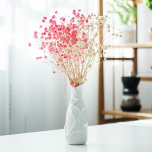 腊梅专用花瓶适合放干花的花瓶银柳枝干花瓶配冬青的花瓶餐桌摆件