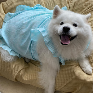 宠物狗狗新款衣服蓝色方形格子裙子大中小型犬萨摩耶拉布拉多拍摄