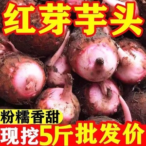 金华现挖红芽芋头10新鲜农家软糯小芋头仔农产品红梗芋艿5/3斤