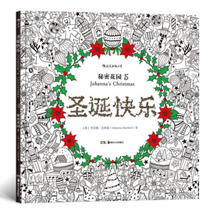 正版现货圣诞快乐：秘密花园5湖南美术[英]乔汉娜·贝斯福