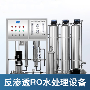 大型工业反渗透设备商用净水RO膜去离子EDI过滤器直饮水纯水设备