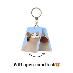 Pop Cat Keychain Cute kitten HD popular dynamic pendant crea