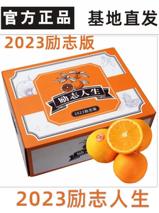 云南志褚橙官方旗舰冰糖橙禇玉溪励志橙子新鲜水果10斤装一级
