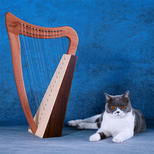 新品Kristall台湾爱尔兰竖琴乐器古典20/28/34/36/40弦专业Harp扳